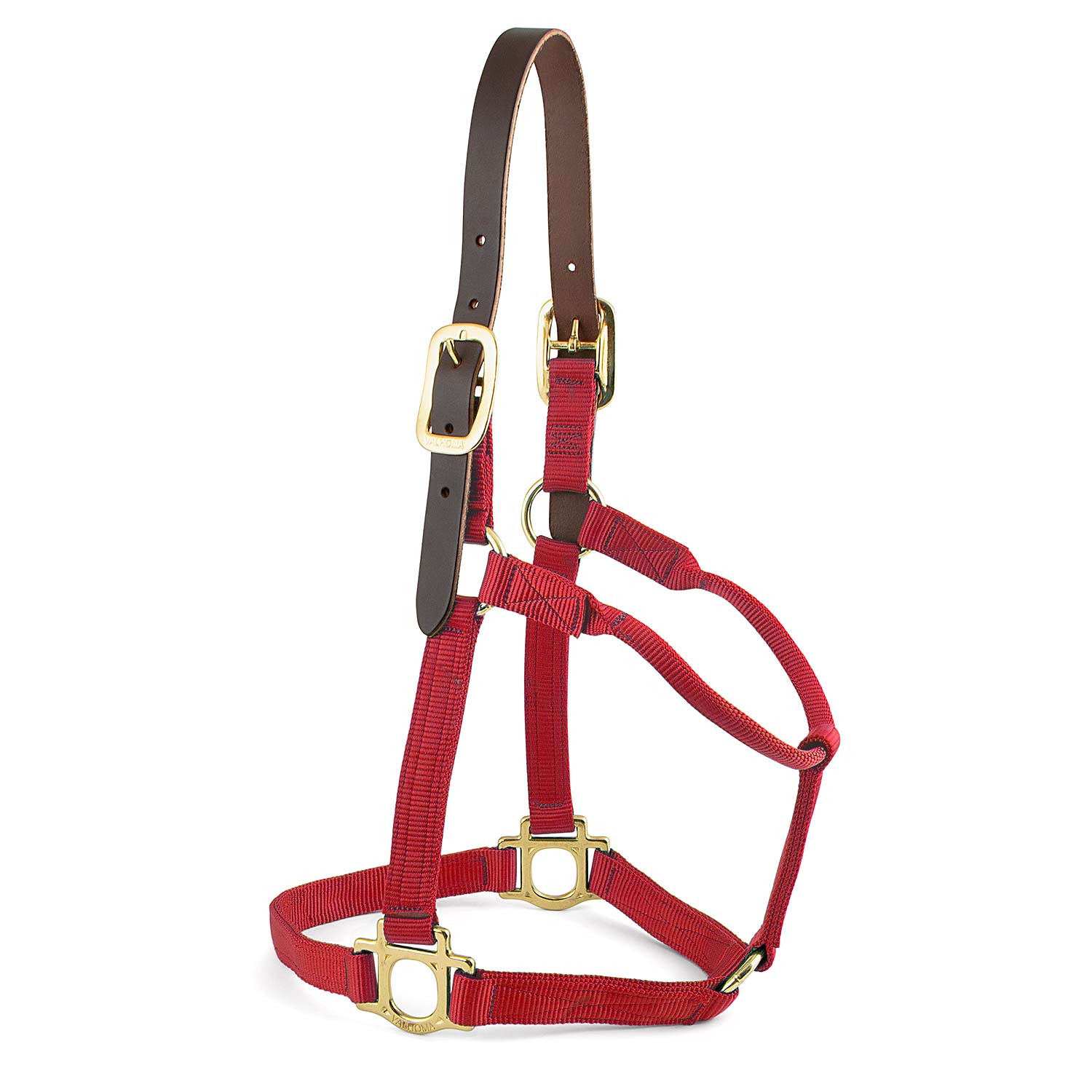 Foal & Yearling Premium Breakaway Nylon Halter with Leather Crown 