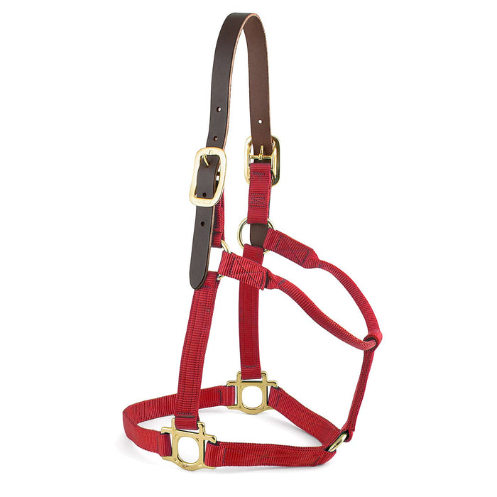 Valhoma Premium Breakaway Nylon Horse Halter with Leather Crown & Brass Hardware - V2EG - Foal - Red - 1