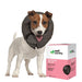 Vet Worthy Inflatable Collar, Black - Jeffers - Animal Health & Wellness > Medical Supplies