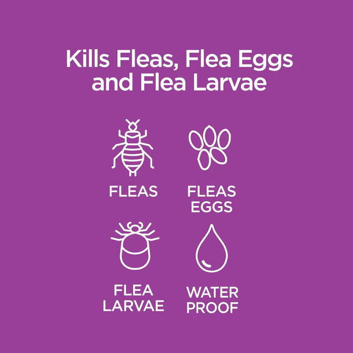 Vetality Advotect II for Cats, 6 pack - TVB1T - Cat 5 to 9lbs - 5