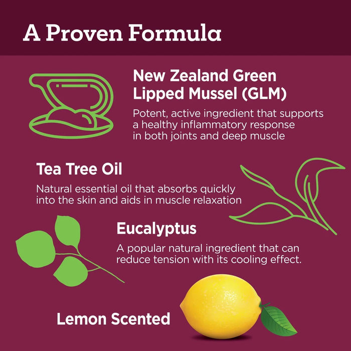 Vetality Muscle Relief Massage Gel for Dogs – Soothe Sore Muscles & Joints, Improve Mobility - TVB3W - 3 fl oz - 1 ct - 5