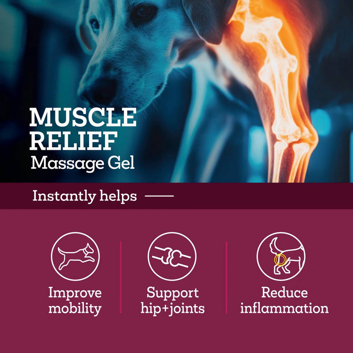 Vetality Muscle Relief Massage Gel for Dogs – Soothe Sore Muscles & Joints, Improve Mobility - TVB3W - 3 fl oz - 1 ct - 3