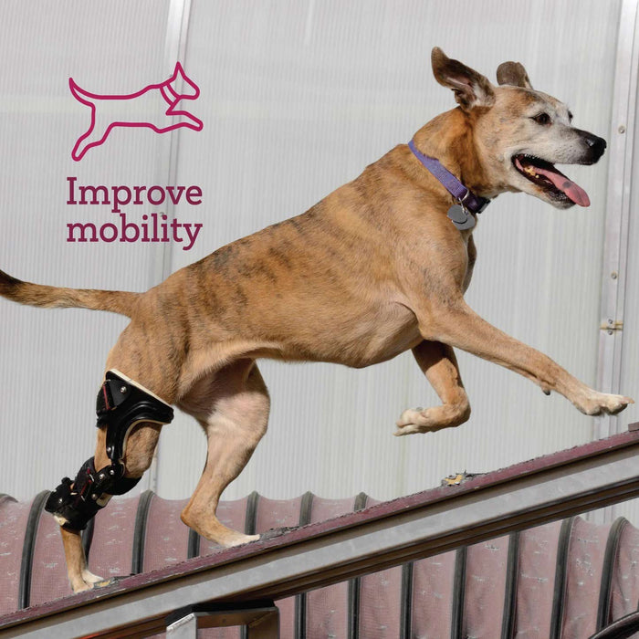 Vetality Muscle Relief Massage Gel for Dogs – Soothe Sore Muscles & Joints, Improve Mobility - TVB3W - 3 fl oz - 1 ct - 4