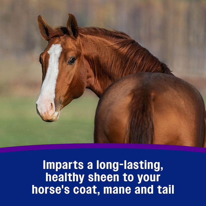 Vetrolin Shine - FAVJ - 64 oz - 13