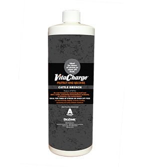 Vita Charge Cattle Drench - Jeffers - Animal Health & Wellness > Medicine