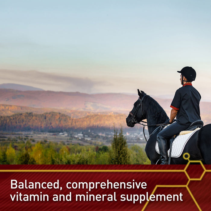 Vita Flex Pro Accel Health & Wellness Formula, Supplement for Horses - Jeffers - Animal Health & Wellness > Vitamins & Supplements