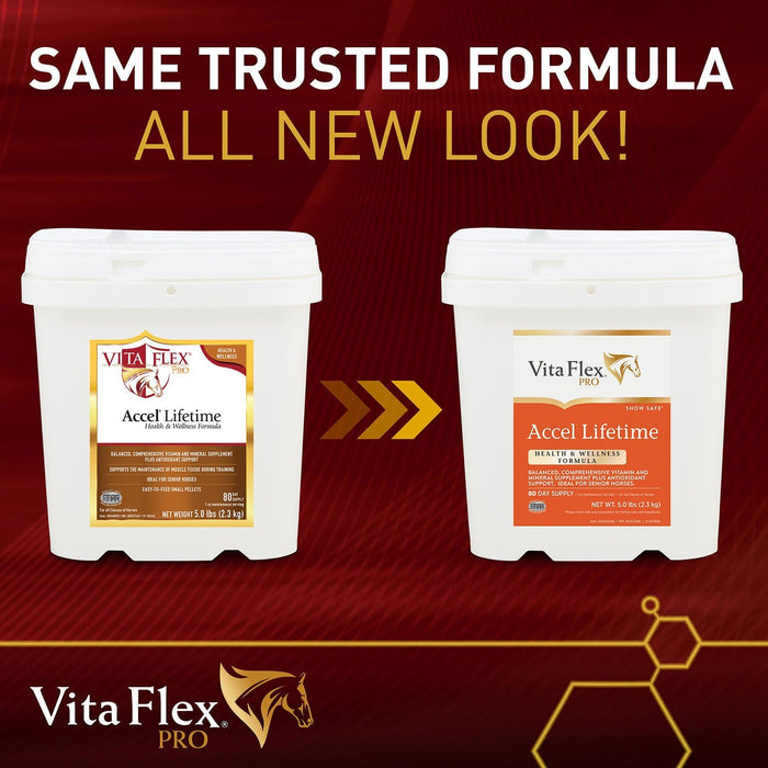 Vita Flex Pro Accel Lifetime Health & Wellness Formula Supplement for Horses - Jeffers - Animal Health & Wellness > Vitamins & Supplements