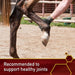 Vita Flex Pro Master's Hoof Blend Formula - Jeffers - Animal Health & Wellness > Foot & Hoof Care