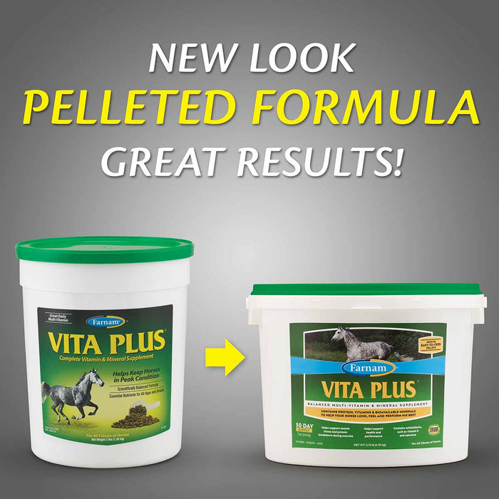 Vita Plus Balanced Vitamin & Mineral Supplement - Jeffers - Animal Health & Wellness > Vitamins & Supplements