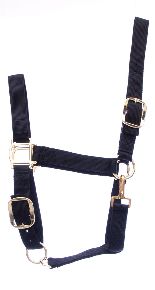 Weaver Draft Horse Halter, Regular (1400 - 1700 lb) - Black  