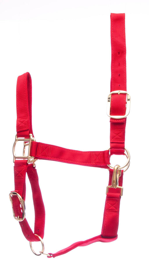 Weaver Draft Horse Halter, Regular (1400 - 1700 lb) - Red  