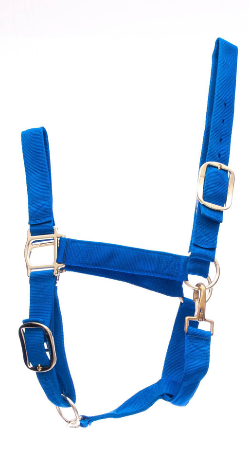 Weaver Draft Horse Halter, Regular (1400 - 1700 lb) - Blue  