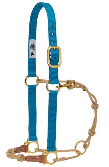 Weaver Horseman's Halter - Hurricane Blue/Tan Large 