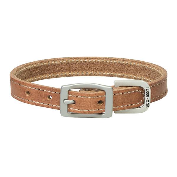 Terrain D.O.G. Harness Leather Dog Collar - 1"x 25"  