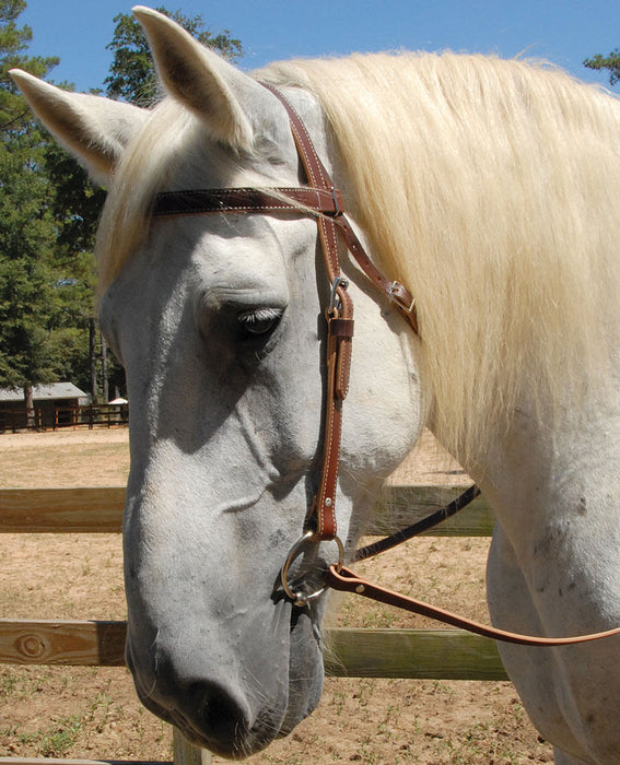 Leather Draft Horse Bridle -   