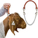 Goat Show Collar -   