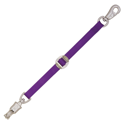 Weaver  Nylon Trailer Ties - Purple  