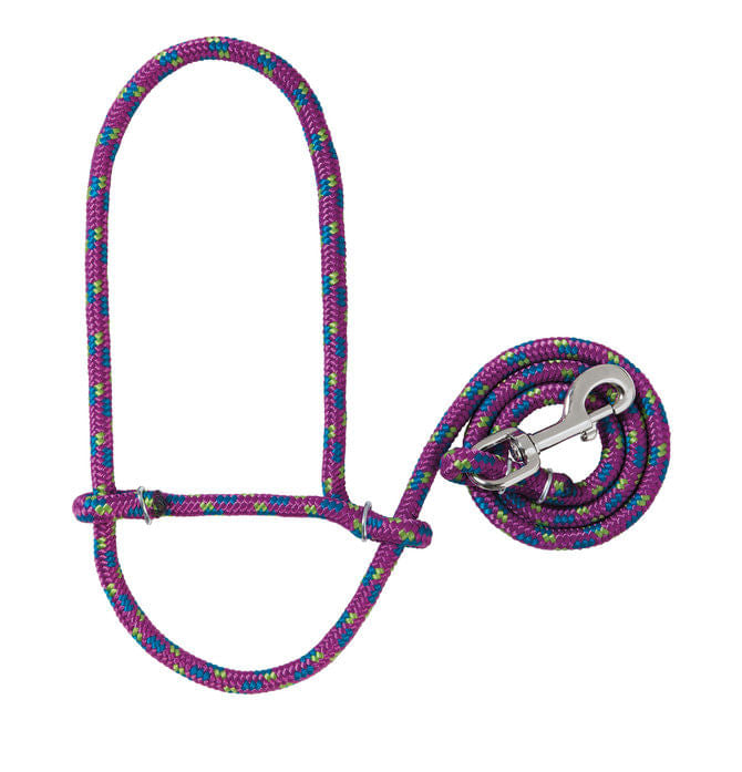 Poly Rope Sheep Halter/Lead with Snap, 52" - Purple/Lime/Blue  