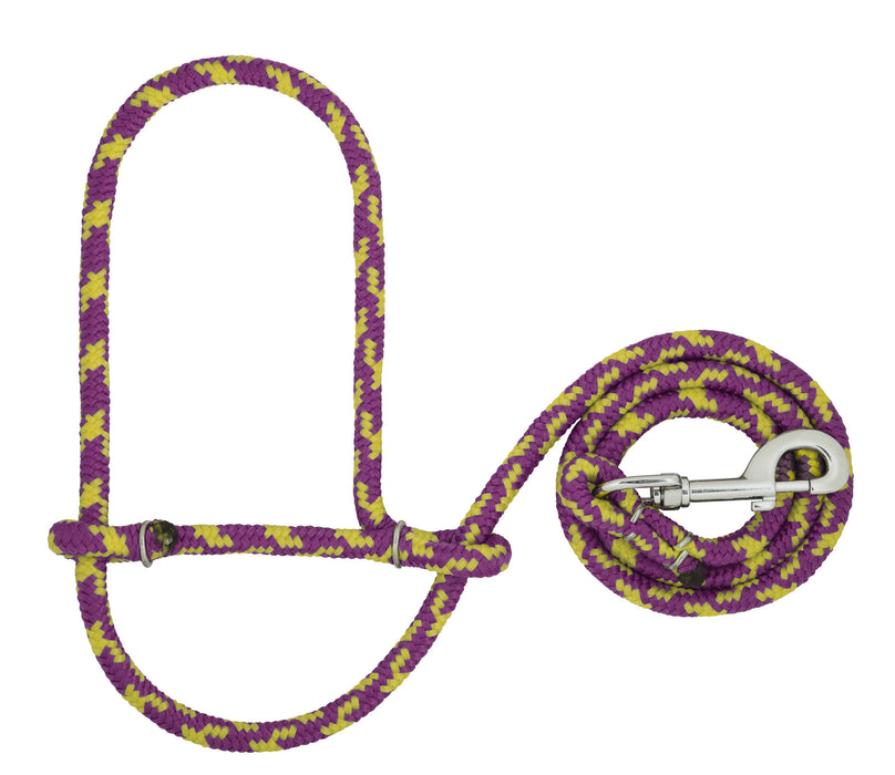 Poly Rope Sheep Halter/Lead with Snap, 52" - Purple/Yellow  