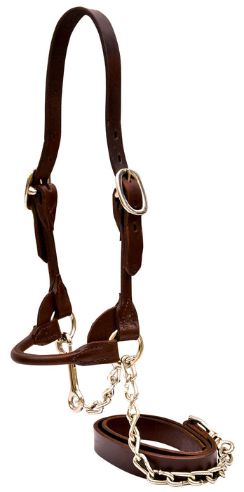 Classic Rounded Cattle Show Halter, Medium - Brown  