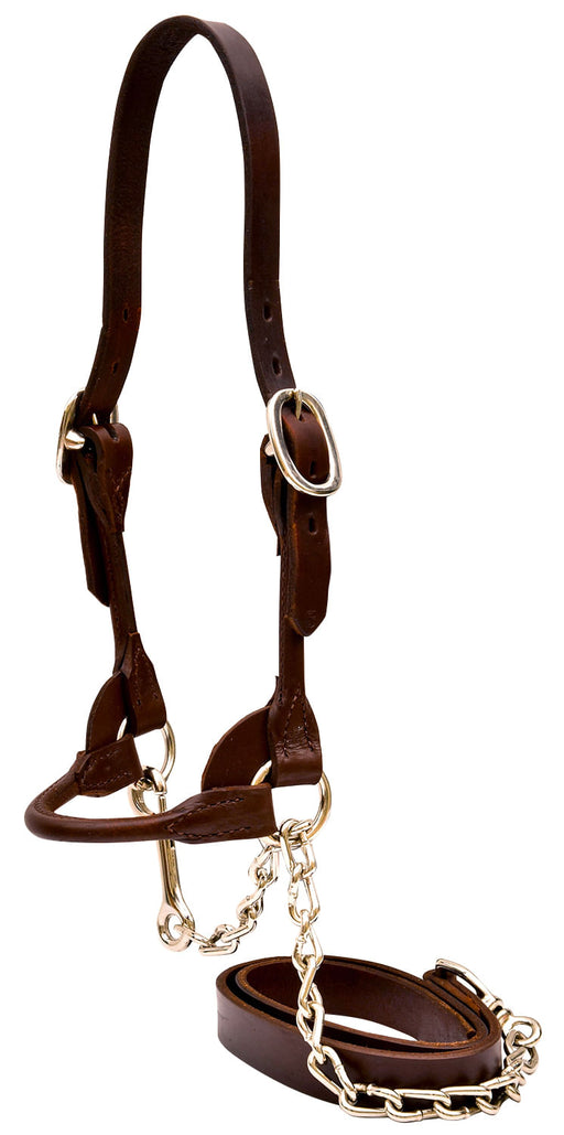 Weaver Leather Classic Rounded Cattle Show Halter, Small - Brown  