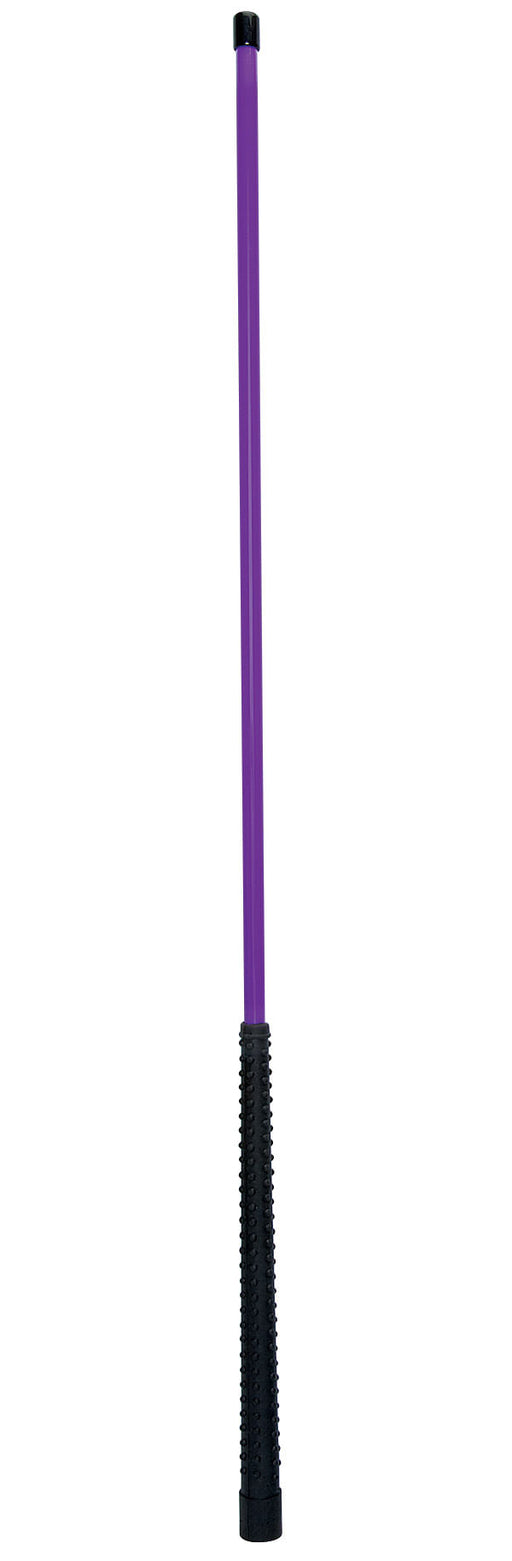 Pig Sticks 30" L - Purple Jazz  