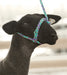 Weaver Leather Sheep & Goat Poly Rope Halter - Gray/Lavender/Mint  