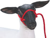 Weaver Leather Sheep & Goat Poly Rope Halter - Red  