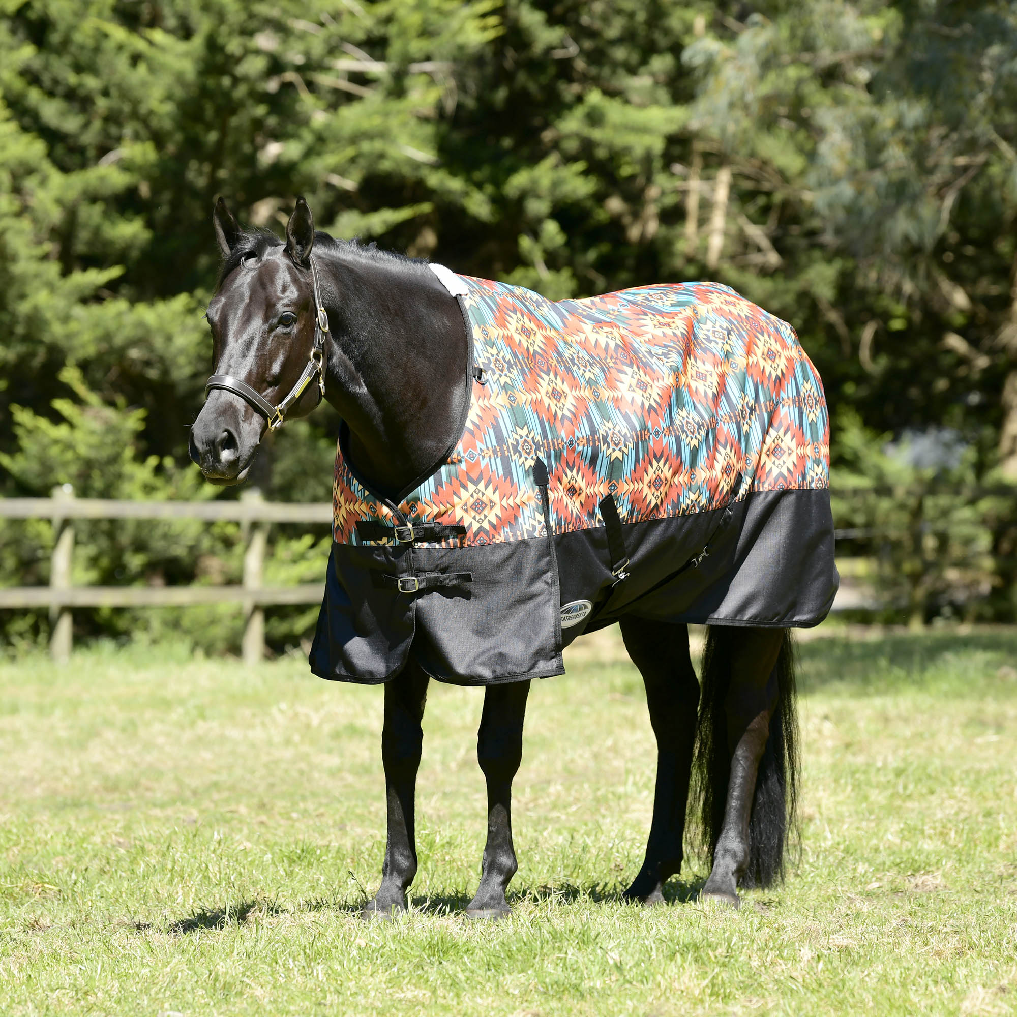 Weatherbeeta Comfitec Essential Collo Rimovibile Coperta per Cavalli Weatherbeeta Comfitec Essential Collo Rimovibile Coperta per Cavalli