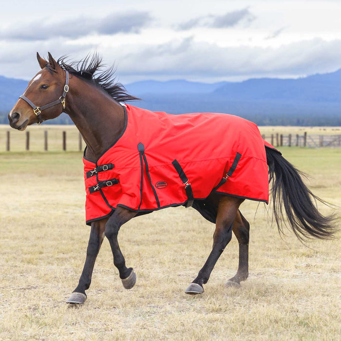 WeatherBeeta ComFiTec Original 1200D Waterproof Standard Neck Medium Weight Turnout Blanket for Horses, 220g - Jeffers - Horse Supplies > Horse Blankets & Sheets