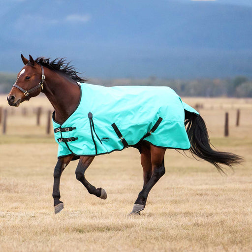 WeatherBeeta ComFiTec Original 1200D Waterproof Standard Neck Medium Weight Turnout Blanket for Horses, 220g - KOCAY - Turquoise - 69" - 7