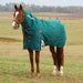 WeatherBeeta ComFiTec Plus Dynamic Detach - A - Neck Heavy Weight Turnout Blanket for Horses – 1200D, 360g Polyfill, Waterproof & Breathable - Jeffers - Horse Supplies > Horse Blankets & Sheets