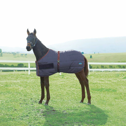 WeatherBeeta Foal Blanket, 220g – Medium Weight 420 Denier Standard Neck Turnout for Growing Foals - Jeffers - Horse Supplies > Horse Blankets & Sheets