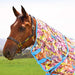 WeatherBeeta Saxon Combo Neck Mesh Horse Fly Sheet with Belly Wrap - KOBB9 - Technicolor Horse Print - 66" - 3
