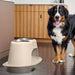 WeatherTech Double High Pet Feeding System, Stainless Steel - Jeffers - Animal & Pet Supplies > Pet Bowls, Feeders & Waterers