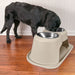 WeatherTech Double High Pet Feeding System, Stainless Steel - Jeffers - Animal & Pet Supplies > Pet Bowls, Feeders & Waterers