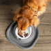 WeatherTech Single Low Pet Feeding System, Plastic Bowl - WTD47 - Dark Grey - 8 oz - 3