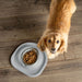 WeatherTech Single Low Pet Feeding System, Stainless Steel - Jeffers - Animal & Pet Supplies > Pet Bowls, Feeders & Waterers