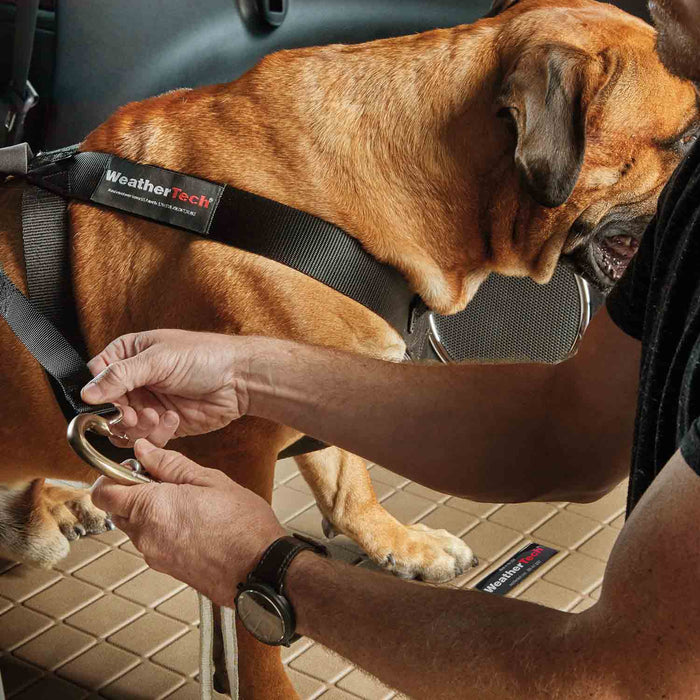 WeatherTech Travel Safe Dog Harness - WTD6L - Black - Chest 13 - 18"; 5 - 12 lbs - 4