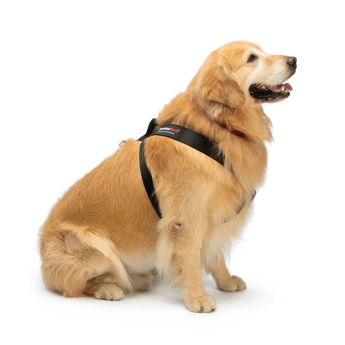 WeatherTech Travel Safe Dog Harness - WTD6L - Black - Chest 13 - 18"; 5 - 12 lbs - 1