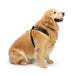 WeatherTech Travel Safe Dog Harness - WTD6L - Black - Chest 13 - 18"; 5 - 12 lbs - 1