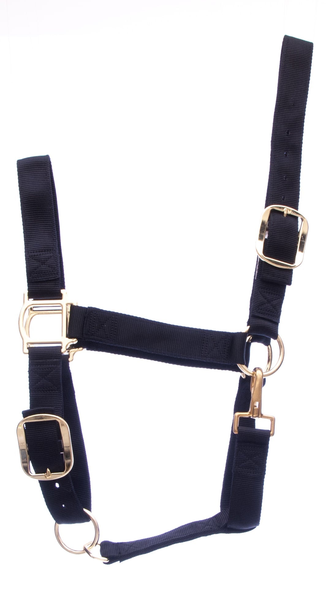 Draft Horse Halter, Regular (1400-1700 lb) — Jeffers