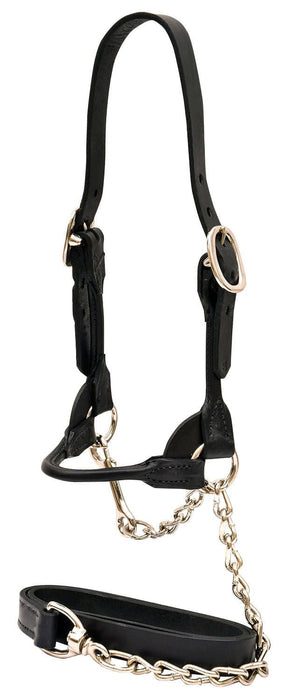 Weaver Leather Classic Rounded Cattle Show Halter, Large - Jeffers - Cattle Supplies > Cattle Supplies