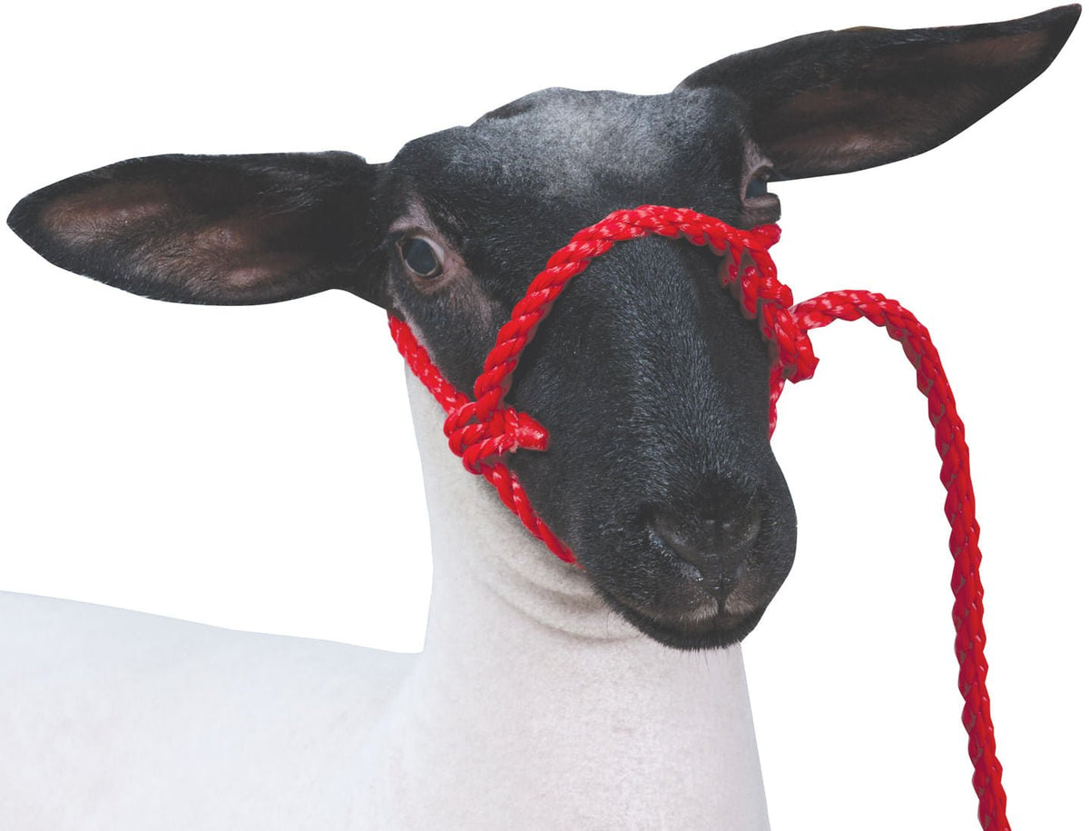 Weaver Leather Sheep & Goat Poly Rope Halter, 3' — Jeffers