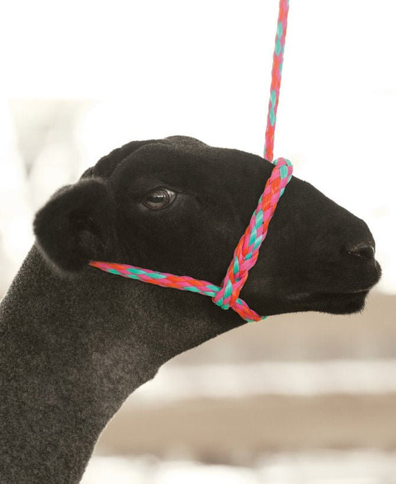 Weaver Leather Sheep & Goat Poly Rope Halter - Jeffers - Sheep Supplies > Sheep Supplies