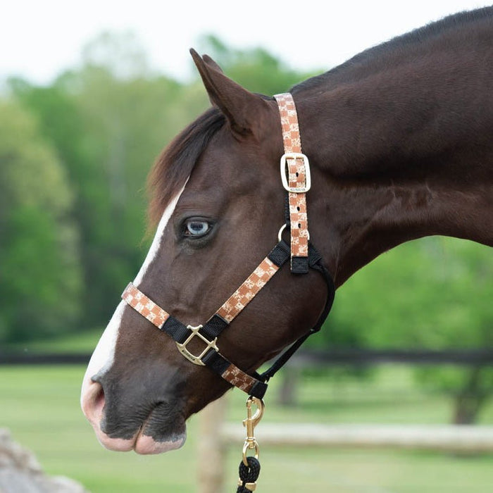 Weaver Patterned Nylon Overlay Halter for Horses - WLCP4 - Bucking Bronc - Small - 15