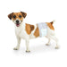 Wee - Wee Disposable Male Dog Wraps - Jeffers - Animal & Pet Supplies > Pet Training Aids