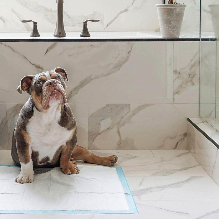 Wee Wee Dog Pee Pads - 39AJ - 14 ct - Reg Pads (22" x 23") - 7