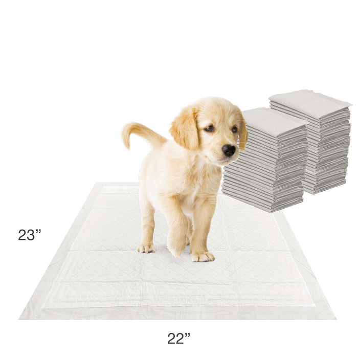 Wee - Wee Super Absorbent Dog Pee Pads with Insta - Rise Border - Jeffers - Animal & Pet Supplies > Pet Training Aids