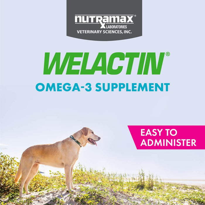 Suplemento diario de omega-3 Welactin para perros, 60 masticables blandos
